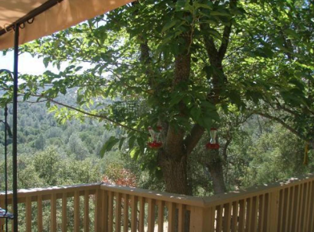 Yosemite Bed And Breakfast Mariposa Buitenkant foto